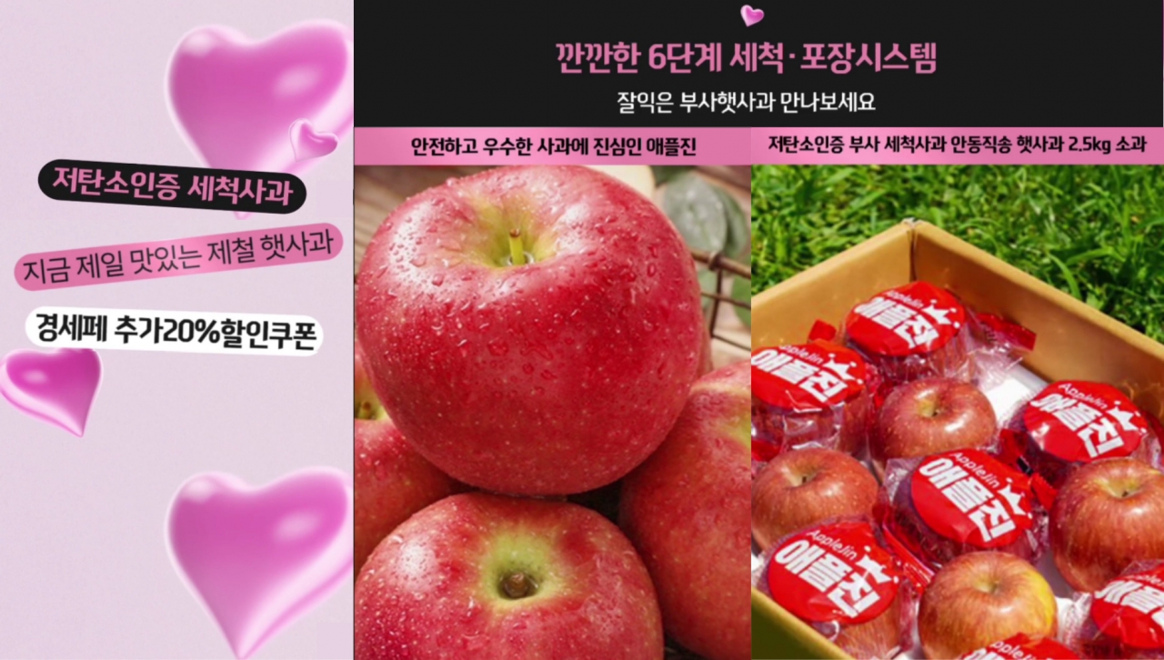 과일드림 - 애플진 세척사과